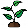 Agriculture et développement rural